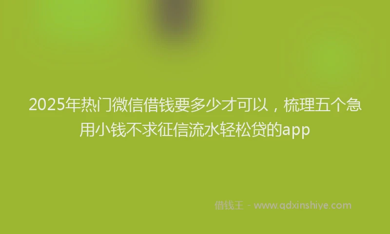 2025年热门微信借钱要多少才可以，梳理五个急用小钱不求征信流水轻松贷的app