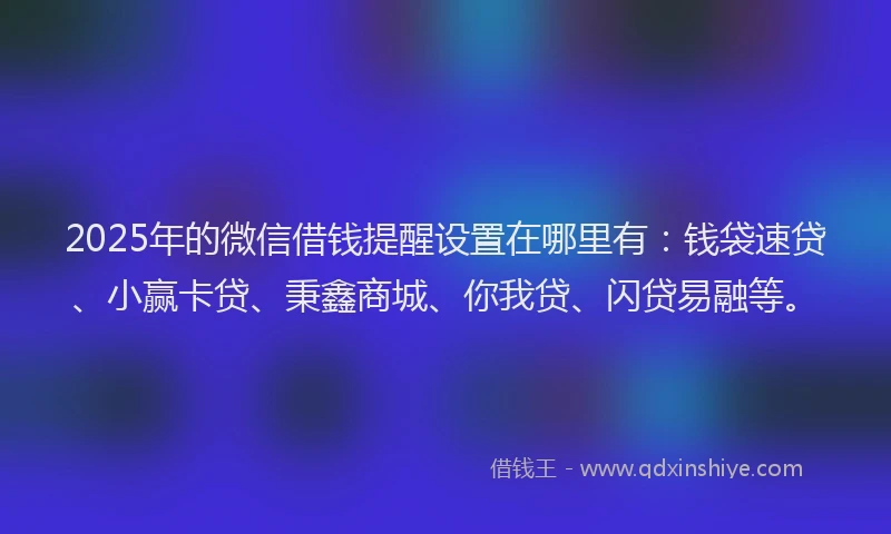 2025年的微信借钱提醒设置在哪里有：钱袋速贷、小赢卡贷、秉鑫商城、你我贷、闪贷易融等。