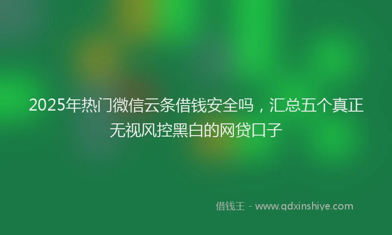 2025年热门微信云条借钱安全吗，汇总五个真正无视风控黑白的网贷口子