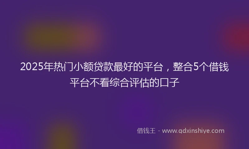 2025年热门小额贷款最好的平台，整合5个借钱平台不看综合评估的口子