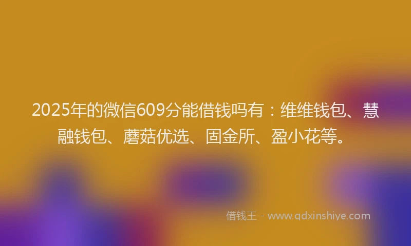 2025年的微信609分能借钱吗有：维维钱包、慧融钱包、蘑菇优选、固金所、盈小花等。