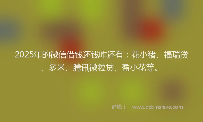 2025年的微信借钱还钱咋还有：花小猪、福瑞贷、多米、腾讯微粒贷、盈小花等。