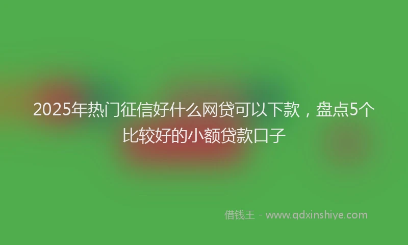 2025年热门征信好什么网贷可以下款，盘点5个比较好的小额贷款口子