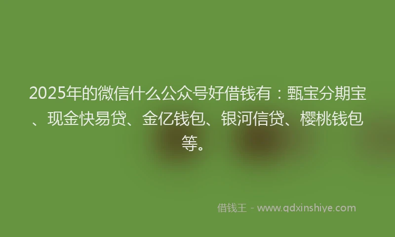 2025年的微信什么公众号好借钱有：甄宝分期宝、现金快易贷、金亿钱包、银河信贷、樱桃钱包等。