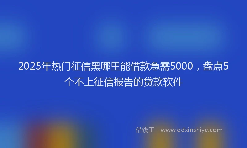 2025年热门征信黑哪里能借款急需5000,盘点5个不上征信报告的贷款软件