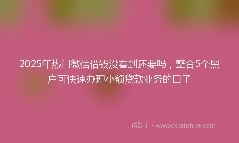 2025年热门微信借钱没看到还要吗，整合5个黑户可快速办理小额贷款业务的口子