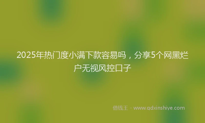 2025年热门度小满下款容易吗，分享5个网黑烂户无视风控口子