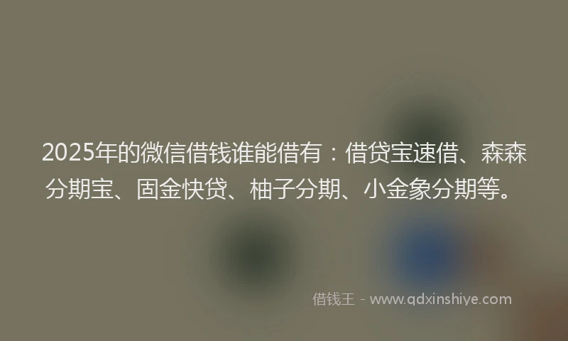 2025年的微信借钱谁能借有：借贷宝速借、森森分期宝、固金快贷、柚子分期、小金象分期等。