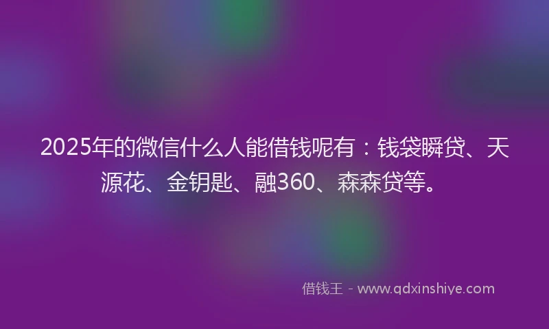 2025年的微信什么人能借钱呢有：钱袋瞬贷、天源花、金钥匙、融360、森森贷等。