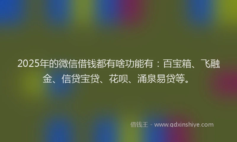 2025年的微信借钱都有啥功能有：百宝箱、飞融金、信贷宝贷、花呗、涌泉易贷等。
