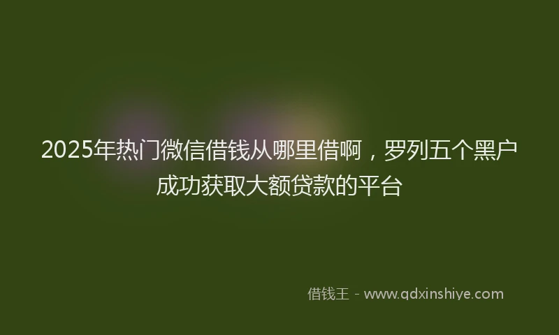 2025年热门微信借钱从哪里借啊，罗列五个黑户成功获取大额贷款的平台