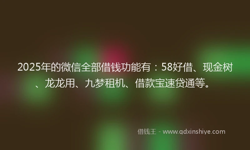 2025年的微信全部借钱功能有：58好借、现金树、龙龙用、九梦租机、借款宝速贷通等。