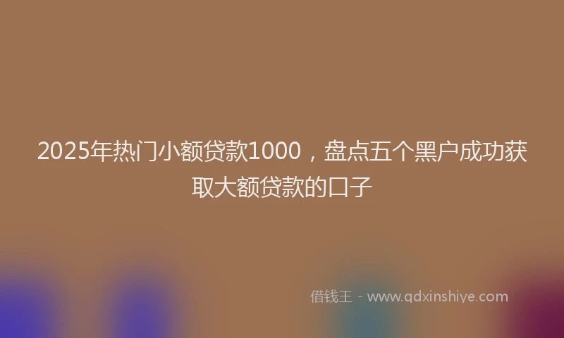 2025年热门小额贷款1000，盘点五个黑户成功获取大额贷款的口子