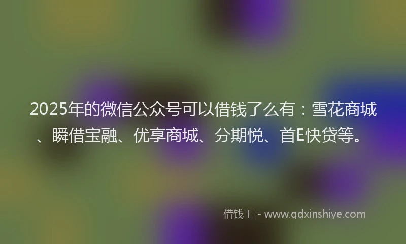 2025年的微信公众号可以借钱了么有：雪花商城、瞬借宝融、优享商城、分期悦、首E快贷等。