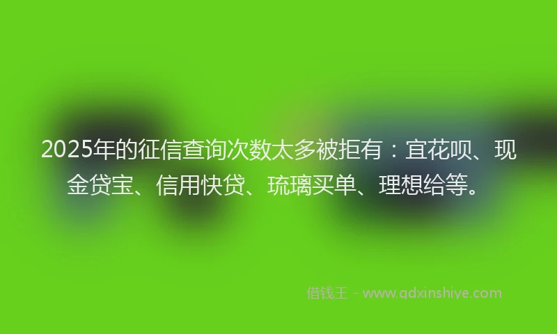 2025年的征信查询次数太多被拒有：宜花呗、现金贷宝、信用快贷、琉璃买单、理想给等。