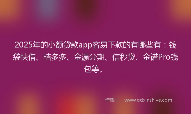 2025年的小额贷款app容易下款的有哪些有：钱袋快借、桔多多、金瀛分期、信秒贷、金诺Pro钱包等。