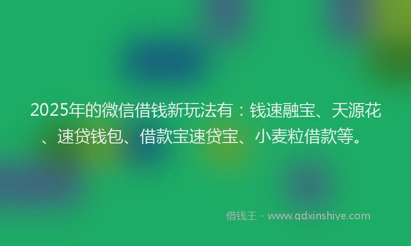 2025年的微信借钱新玩法有：钱速融宝、天源花、速贷钱包、借款宝速贷宝、小麦粒借款等。