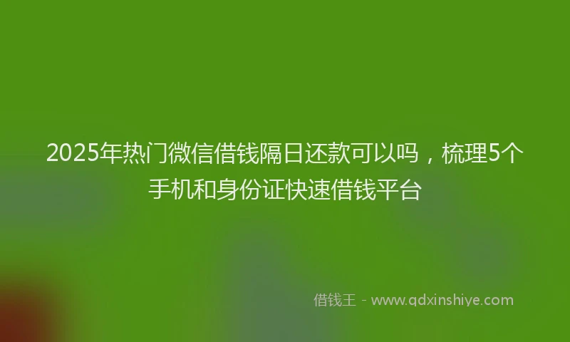 2025年热门微信借钱隔日还款可以吗，梳理5个手机和身份证快速借钱平台