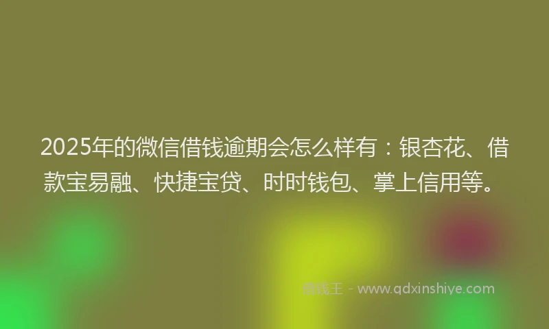 2025年的微信借钱逾期会怎么样有：银杏花、借款宝易融、快捷宝贷、时时钱包、掌上信用等。