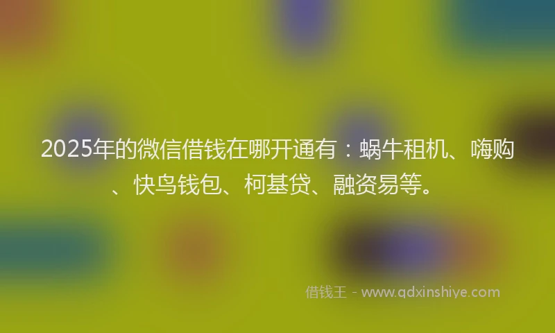 2025年的微信借钱在哪开通有:蜗牛租机、嗨购、快鸟钱包、柯基贷、融资易等。