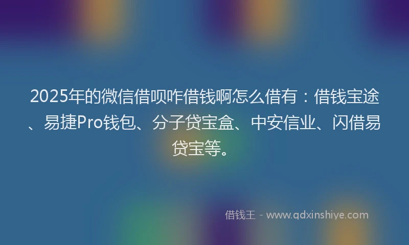 2025年的微信借呗咋借钱啊怎么借有：借钱宝途、易捷Pro钱包、分子贷宝盒、中安信业、闪借易贷宝等。
