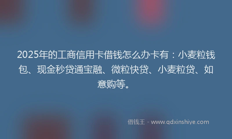 2025年的工商信用卡借钱怎么办卡有：小麦粒钱包、现金秒贷通宝融、微粒快贷、小麦粒贷、如意购等。