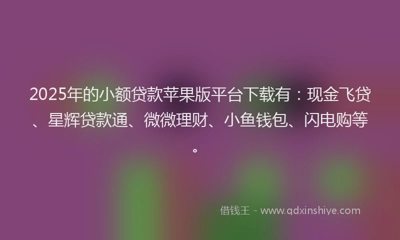2025年的小额贷款苹果版平台下载有：现金飞贷、星辉贷款通、微微理财、小鱼钱包、闪电购等。