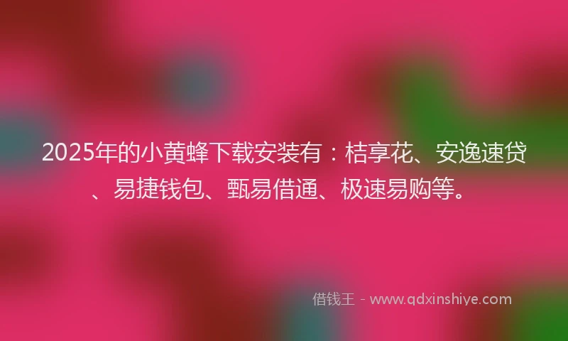 2025年的小黄蜂下载安装有：桔享花、安逸速贷、易捷钱包、甄易借通、极速易购等。
