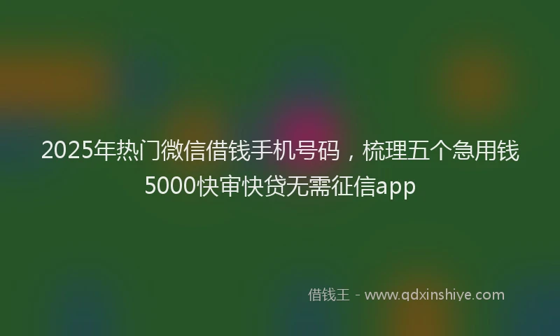 2025年热门微信借钱手机号码，梳理五个急用钱5000快审快贷无需征信app