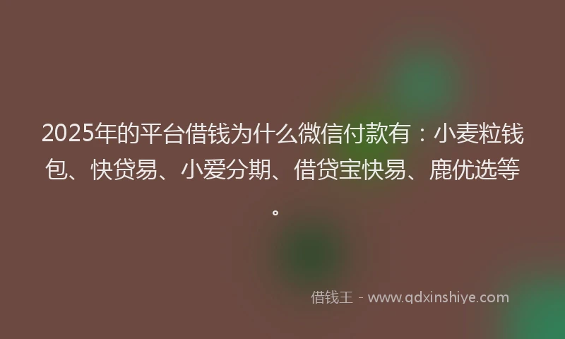 2025年的平台借钱为什么微信付款有：小麦粒钱包、快贷易、小爱分期、借贷宝快易、鹿优选等。