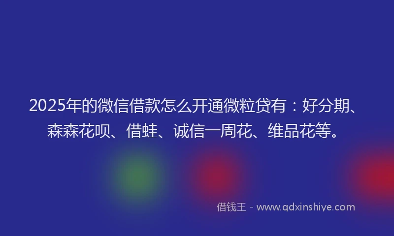 2025年的微信借款怎么开通微粒贷有：好分期、森森花呗、借蛙、诚信一周花、维品花等。