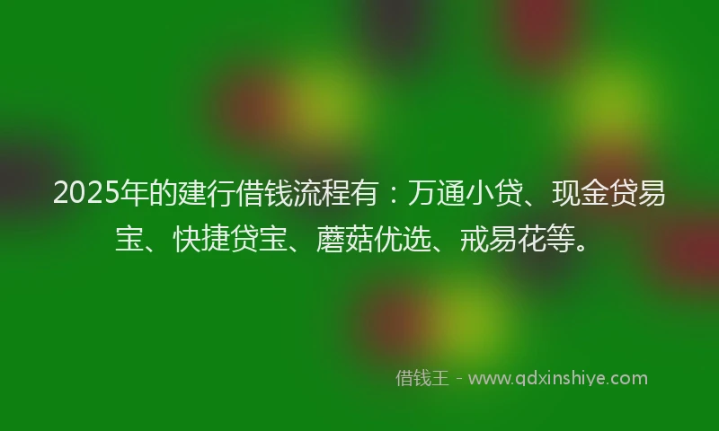 2025年的建行借钱流程有：万通小贷、现金贷易宝、快捷贷宝、蘑菇优选、戒易花等。