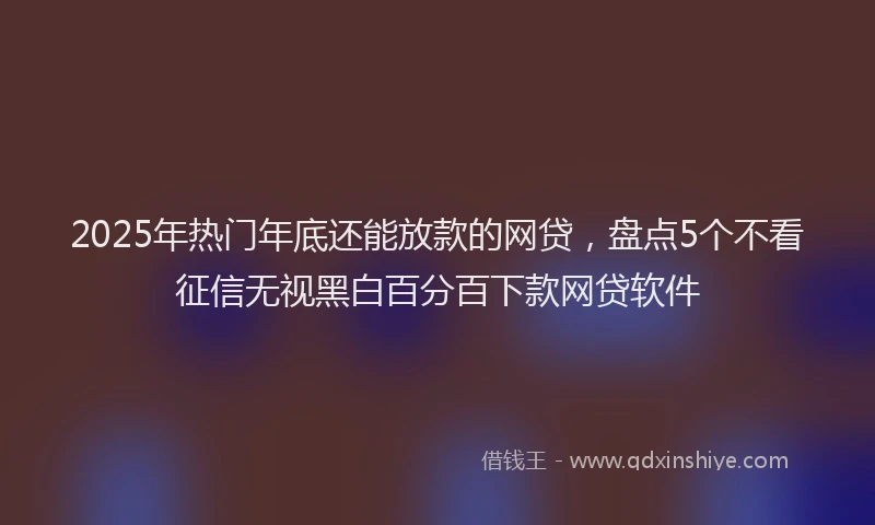 2025年热门年底还能放款的网贷，盘点5个不看征信无视黑白百分百下款网贷软件
