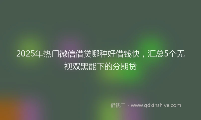 2025年热门微信借贷哪种好借钱快，汇总5个无视双黑能下的分期贷