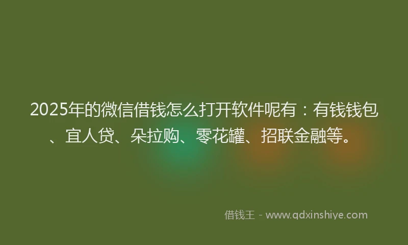 2025年的微信借钱怎么打开软件呢有：有钱钱包、宜人贷、朵拉购、零花罐、招联金融等。