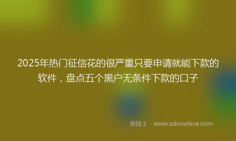 2025年热门征信花的很严重只要申请就能下款的软件，盘点五个黑户无条件下款的口子