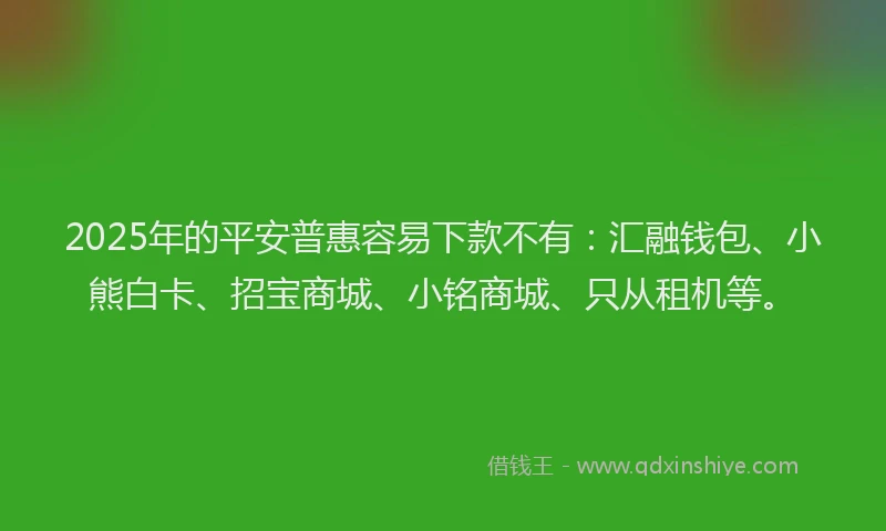 2025年的平安普惠容易下款不有：汇融钱包、小熊白卡、招宝商城、小铭商城、只从租机等。
