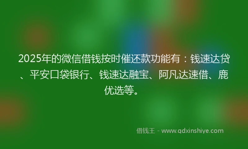 2025年的微信借钱按时催还款功能有：钱速达贷、平安口袋银行、钱速达融宝、阿凡达速借、鹿优选等。