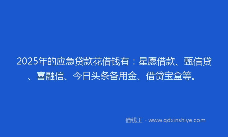 2025年的应急贷款花借钱有：星愿借款、甄信贷、喜融信、今日头条备用金、借贷宝盒等。