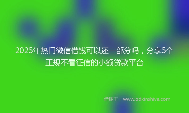 2025年热门微信借钱可以还一部分吗，分享5个正规不看征信的小额贷款平台
