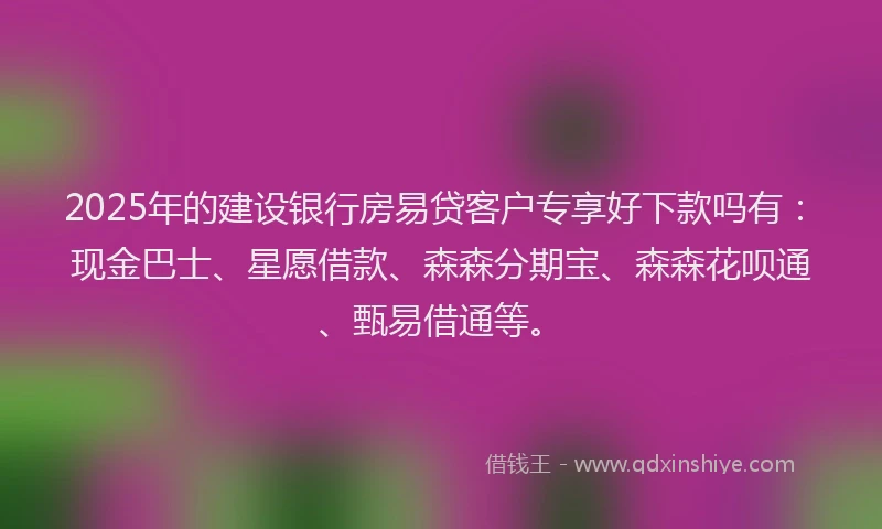 2025年的建设银行房易贷客户专享好下款吗有：现金巴士、星愿借款、森森分期宝、森森花呗通、甄易借通等。
