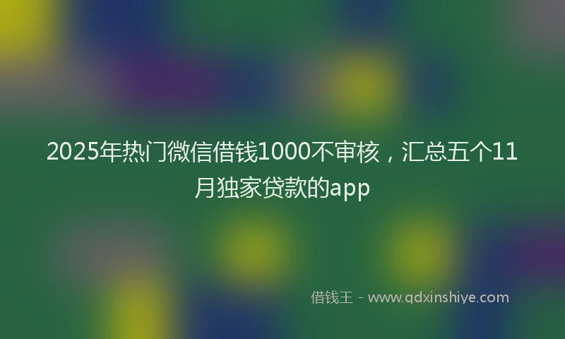 2025年热门微信借钱1000不审核,汇总五个11月独家贷款的app