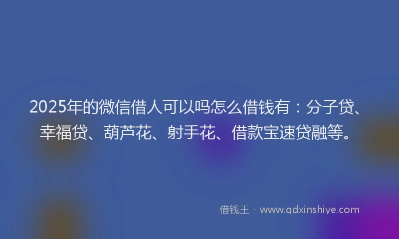 2025年的微信借人可以吗怎么借钱有：分子贷、幸福贷、葫芦花、射手花、借款宝速贷融等。