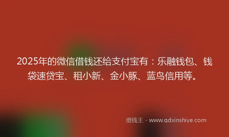 2025年的微信借钱还给支付宝有：乐融钱包、钱袋速贷宝、租小新、金小豚、蓝鸟信用等。
