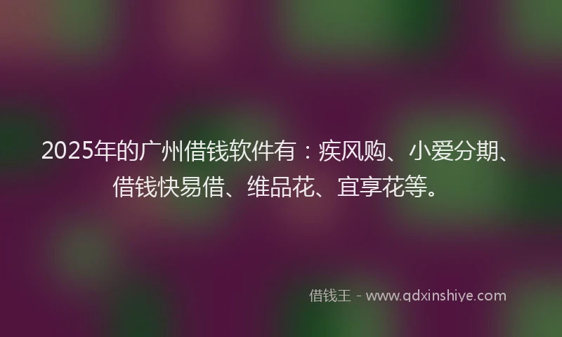 2025年的广州借钱软件有：疾风购、小爱分期、借钱快易借、维品花、宜享花等。