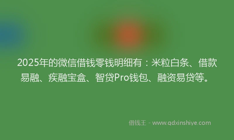 2025年的微信借钱零钱明细有：米粒白条、借款易融、疾融宝盒、智贷Pro钱包、融资易贷等。