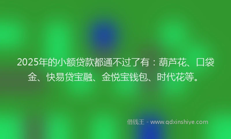 2025年的小额贷款都通不过了有：葫芦花、口袋金、快易贷宝融、金悦宝钱包、时代花等。