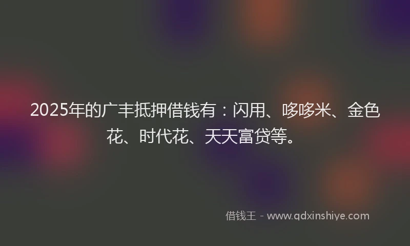 2025年的广丰抵押借钱有：闪用、哆哆米、金色花、时代花、天天富贷等。