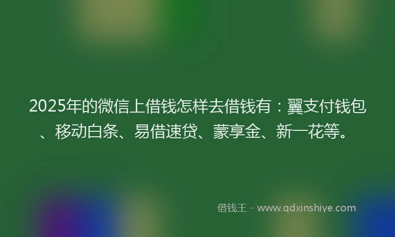 2025年的微信上借钱怎样去借钱有：翼支付钱包、移动白条、易借速贷、蒙享金、新一花等。