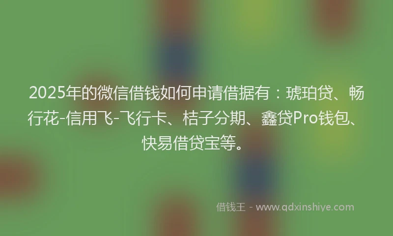 2025年的微信借钱如何申请借据有：琥珀贷、畅行花-信用飞-飞行卡、桔子分期、鑫贷Pro钱包、快易借贷宝等。